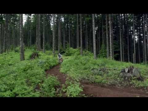 Giant 27.5 -- Ride Without Limits.