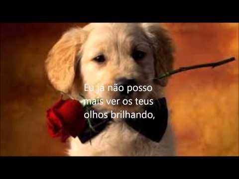 Sem O Teu Amor video