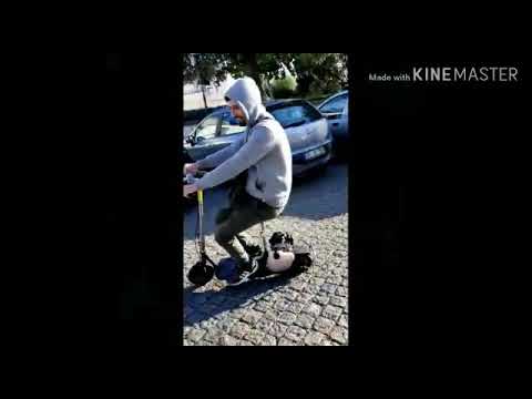 Asa Squad - Isto não é fado