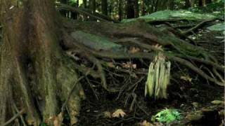 Crack The Sky ---- Sleep