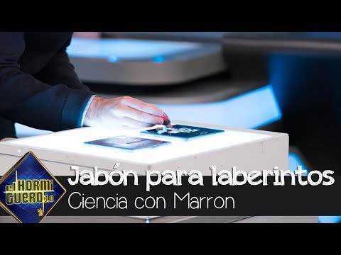 Marron sorprende a Carmina Barrios con el jabón que resuelve laberintos - El Hormiguero 3.0