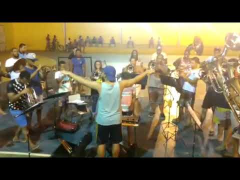 PANTANAL - ENSAIO - FANCENI