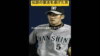 【フェンス激突】事故から復帰した伝説の男''平野恵一''#阪神タイガース #平野恵一