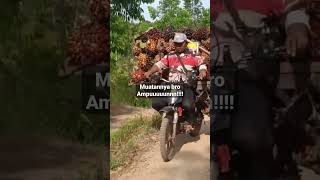 Download lagu Langsir sawit pakai motor,muatannya luar biasa banyak#shorts mp3