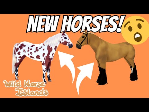 NEW HORSES + NEW MAPS! WILD HORSE ISLANDS UPDATE
