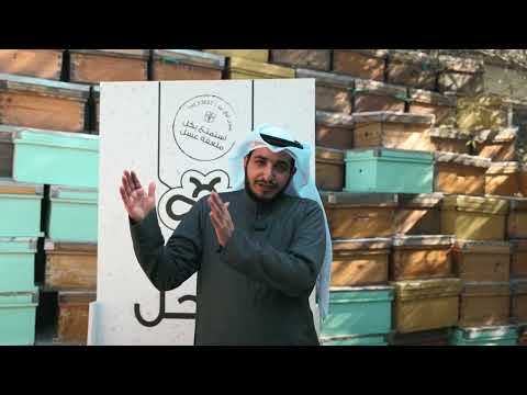 دورة تربية نحل العسل في الكويت 2026 بإشراف النحّال سالم العومي