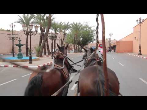 download lagu mp3 mp4 Marrakech Caleche, download lagu Marrakech Caleche gratis, unduh video klip Marrakech Caleche