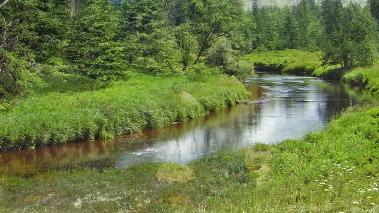 BEDŘICH SMETANA - VLTAVA