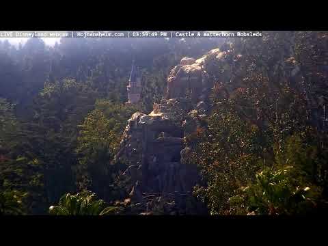 Live webcam of Disneyland Cam