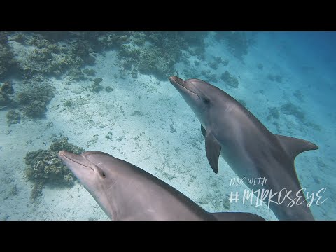 Why Slower Dives Feel Better 2