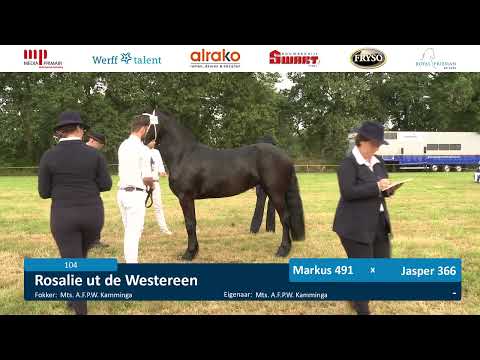 Fokdag Ta it Bihâld | 22 juli 2023 | Baan 1