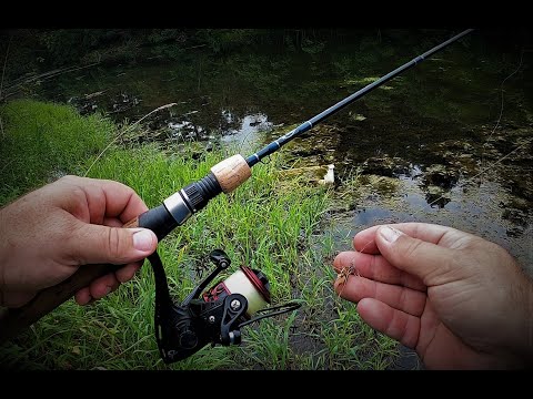 Fly Fishing on a Spinning Rod ???????