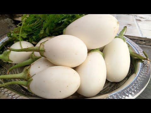 #Never Seen Before White Eggplant Recipe | Cooking...
