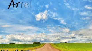 ✔Triste derrota(Letra) 🎗Ariel Camacho Y los plebes del rancho