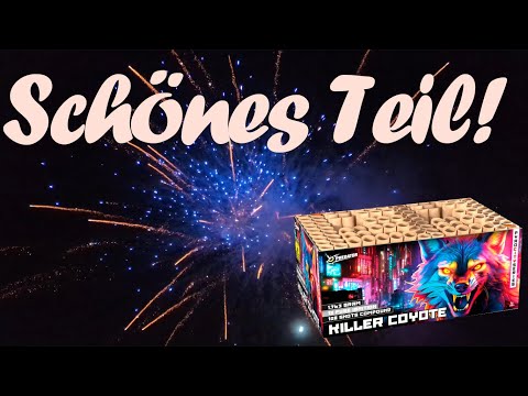 Lesli - Killer Coyote | 108 Schuss | Schöner Verbund |