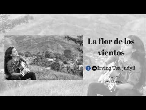 La flor de los vientos/El buque fantasma - T S Aⁿ J N D Y I I