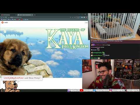 Hasan Reacts To okbuddy [5/19/2023] | Hasanabi okbuddyhasan