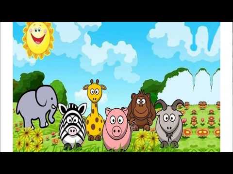 FESTA NO CÉU- A TARTARUGUINHA