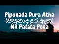 Pipunada Dura Atha (පිපුනාද දුර ඈත)| Nil Patata Pena (8D Audio🎧)