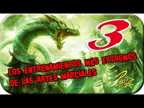 Los Entrenamientos más extremos de las Artes Marciales 3 (Motivate o muere!!!)