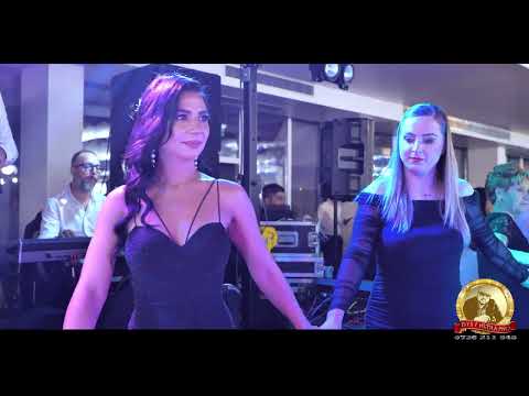 Leo de la Rosiori - A iesit o lege noua - Hore si Sarbe - Nunta Ana & Robert - LIVE 2024 la Dabuleni