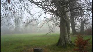 John Denver Whispering Jessie