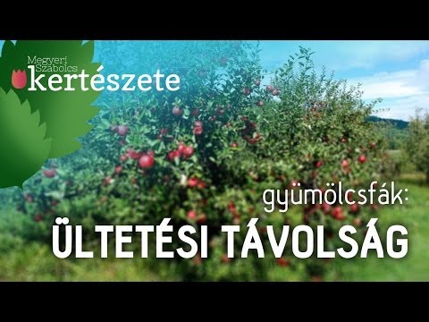 , title : 'Gyümölcsfák ültetési távolság - Megyeri Szabolcs online Kertészet Mátészalka'