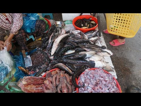 Morning Food Market Scenes at Phsa Chhbar Ampov - Walking Around Chhbar Ampov Market in The Morning