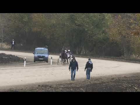 Trka "Singidunum-Salaš kod mog Đoke" 31.10.2020 Sirol Axe - Milan Tasić