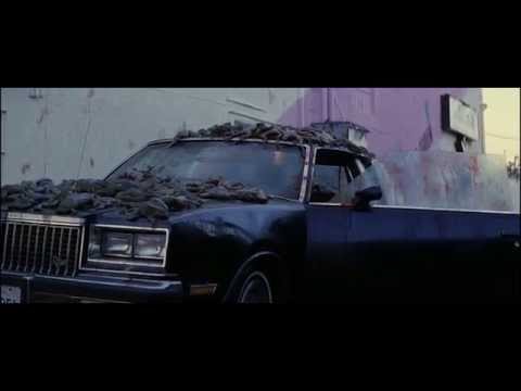 Dreams can come true (Magnolia)