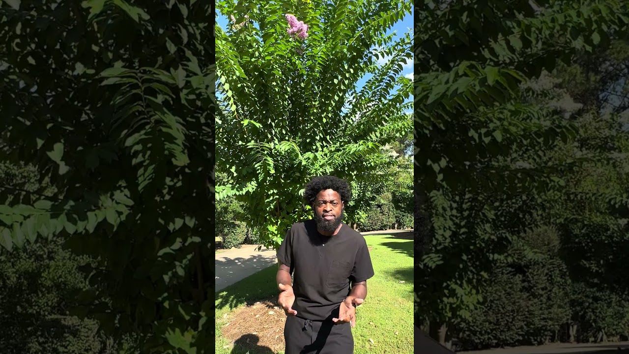 August is Wellness Month! Follow for 5 men’s wellness tips to discuss with your physician!