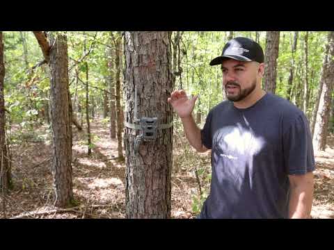 How To Set Up Your FLEX-M SPYPOINT Trail Camera | Featuring Steven Fuller