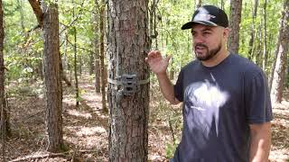 How To Set Up Your FLEX-M SPYPOINT Trail Camera | Featuring Steven Fuller