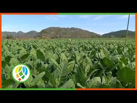 Compromiso renovado con esfuerzo colectivo