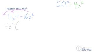 Use a general strategy for factoring polynomials