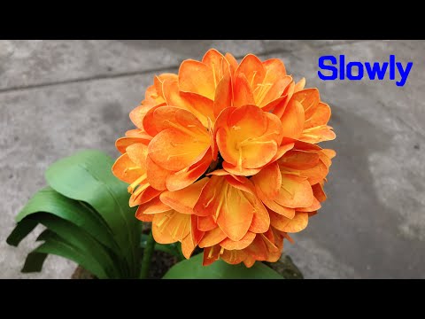 ABC TV | How To Make Clivia Paper Flower | Flower Die Cuts (Slowly) - Craft Tutorial