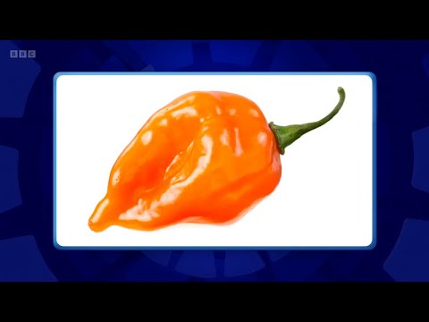 Only Connect - Series 20 - Episode 6