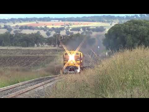 4486+4204+CLF4+Southern Aurora Cars=Werris Creek