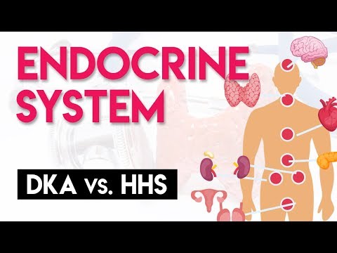 DKA vs HHS | Endocrine System (Part 4)