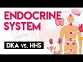 DKA vs HHS | Endocrine System (Part 4)