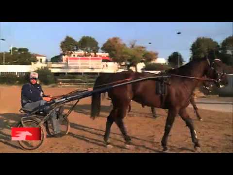 David Cinier - Carnet de Pistes - septembre 2013