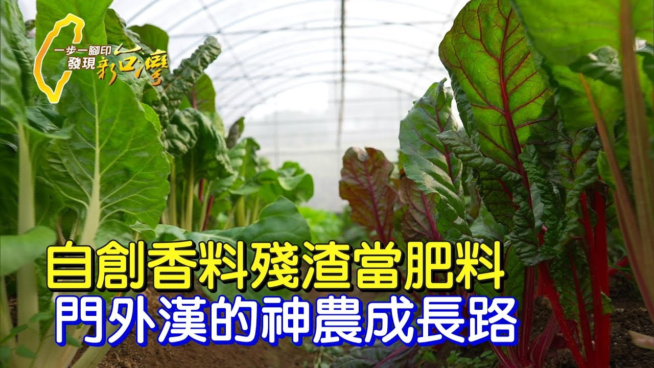 《一步一腳印》日本專家讚譽:有機菜達人!傢俱廠老闆轉行農夫