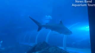 Aquarium Tours Travel and Discover 10 : Go to Sentosa Island