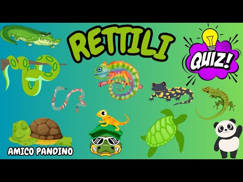 Animali per bambini - I RETTILI- Impara gli animali con Pandino - quiz animali - regno animale
