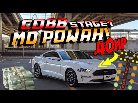 COBB STAGE 1 TUNE first impressions on my Mustang! BIG TORQUE GAINS!
