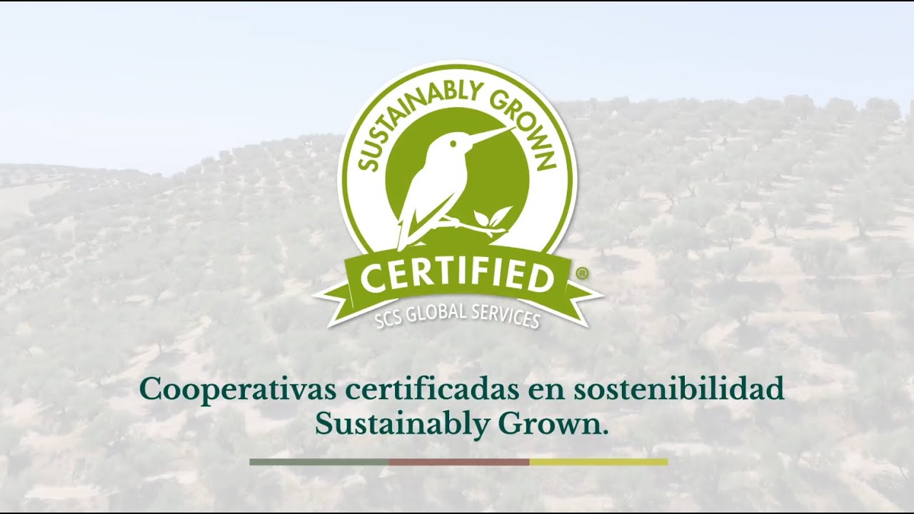Cooperativas Dcoop Certificadas en Sostenibilidad