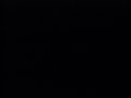 Low Pitched Black Screen Of Death