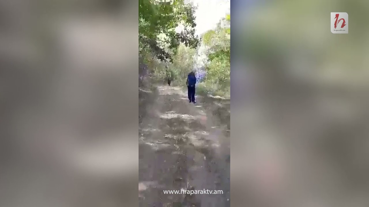 Ինչ եղել է, պատերազմի օրերին է եղել․ ինչու են աշխատանքից ազատել «Սյունիք» անտառտնտեսության տնօրենին