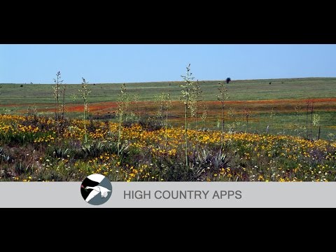 Flora of Texas: FW Prairie Video