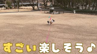 久しぶりのお出かけしてみました！